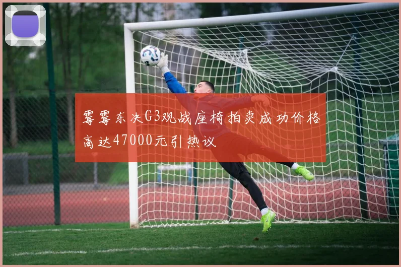 霉霉东决G3观战座椅拍卖成功价格高达47000元引热议